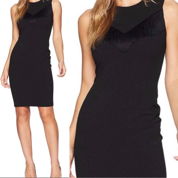 Calvin Klein Dresses & Skirts - Calvin Klein Fringe Sheath Dress Size 2 4 8 & 10